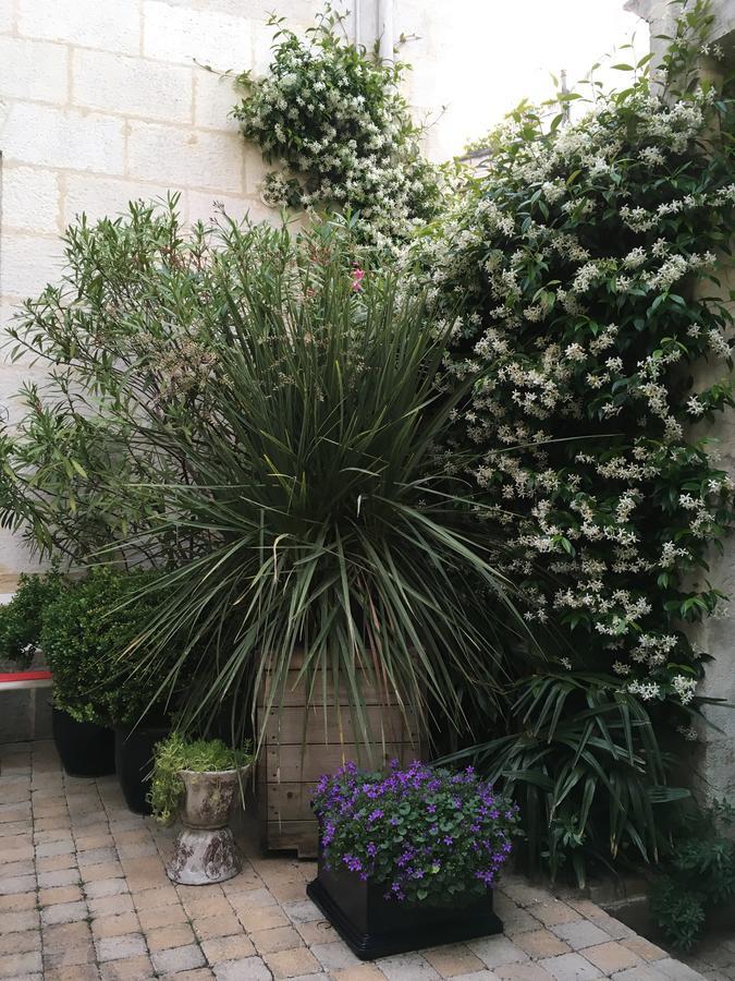 La Maison Du Palmier La Rochelle  Bagian luar foto